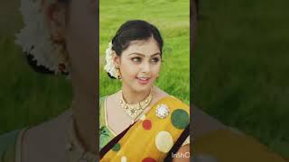 Melody songs lovers subscribe please 🙏 song telugu music love [upl. by Norb571]