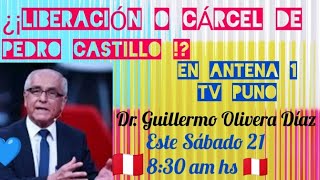 ¡EN EXCLUSIVA DR GUILLERMO OLIVERA DÍAZ ¡LIBERACIÓN O CÁRCEL DE PEDRO CASTILLO EN ANTENA 1 TV [upl. by Santiago]