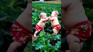 Aww😂😍 shorts babyvideos cutevideos cute [upl. by Araj]