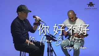 Ni Hao Bu Hao  你 好不好  Cover by HAN [upl. by Aikkin]