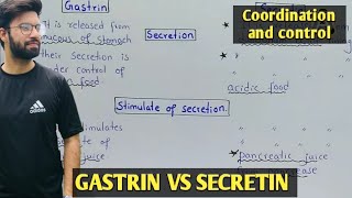 Gastrin vs secretin  gut hormones class 12  physiology of gastrin and secretin [upl. by Ayekal]