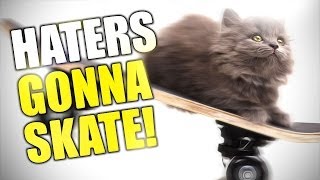 Skate 3  FUNNY MOMENTS  Part 1 [upl. by Kcub330]