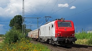 Güterzugparadies Köln PorzWahn  Güterverkehr am 11082014 [upl. by Yer]