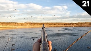 Hundreds Of Wigeon In The Decoys Texas Duck Hunting 2023 [upl. by Yud]