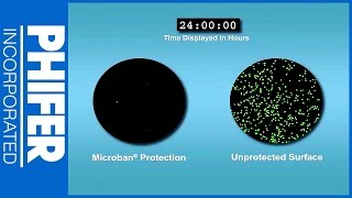 Microban Overview  Phifer Inc [upl. by Madox]