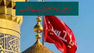 Arbaeen pr ziyarat e imam Hussainas Ka sawaab [upl. by Harlow513]