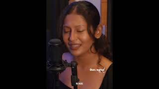 Babara Nade  බඹර නාදේ  bachisusan babaranade cover [upl. by Nielson]