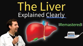 Liver Explained Function Pathology Diseases amp Cirrhosis [upl. by Hammerskjold]