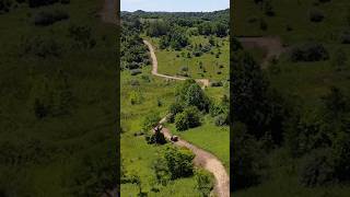 We built 11 miles of firebreaks for Quail management Check out the full video on the channel [upl. by Leiuqese556]