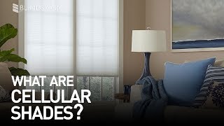 Custom Cellular Shades  Window Treatment Ideas [upl. by Four]