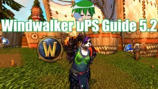 Monk  Mönch  Windwalker DPS Guide Werte Prioliste Talente World of Warcraft [upl. by Fisk]