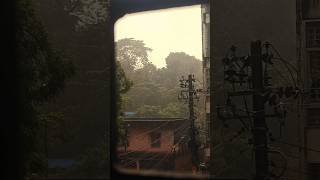 🥀🌧️ rainyscenes rain stan ytshorts shortsviral hamsvlog windowscene rainyday [upl. by Bodrogi]