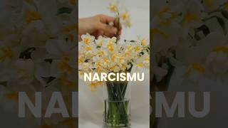 🔥 Podcast o narcismu tedcast narcismus narcissism psychopathy terapie psychologie [upl. by Surtemed271]