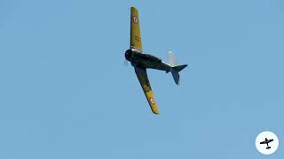 North American T6 Texan aerobatics  Arona Air Show 2022 [upl. by Hobbs906]