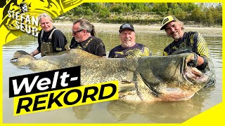 WELTREKORD WELS 281cm  World Record Catfish 923 feet  Der Fisch des Lebens [upl. by Sivahc]