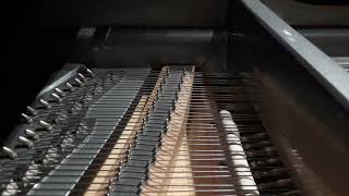 Fastest piano note repetition ever [upl. by Krug452]