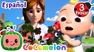 ¡El Abono  CoComelon y los animales 🍉 Dibujos animados para niños [upl. by Nosemyaj978]