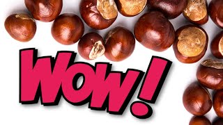 There is an easy way to peel chestnuts [upl. by Greeley]