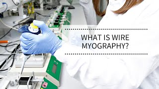 What is wire myography  REPROCELL [upl. by Attenhoj595]