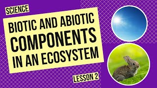 Biotic and Abiotic Components in an Ecosystem [upl. by Acinahs]