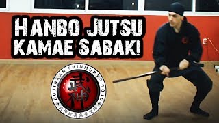 Ninjutsu  Hanbō Jutsu  Kamae e Sabaki Kukishinden Ryū [upl. by Frederico]