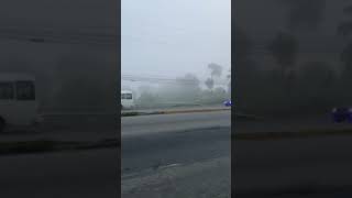 neblina aquí en rd 🌪️🥶 music artist hiphop humor dance video [upl. by Aicinoid620]