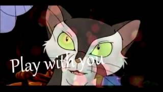 Felidae AMV Id Engager [upl. by Thorrlow]