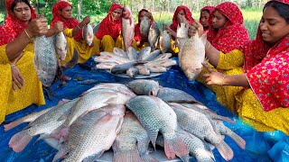 Tilapia amp Carp Fish Curry  Giant Tilapia Fish  Bengali Style Carp Fish Cooking in Village [upl. by Seraphine]