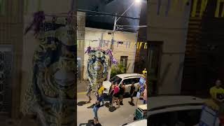 Prévia de Carnaval  Ensaio de rua do clube abanadores  O Leão carnaval vitoriadesantoantao [upl. by Riada]