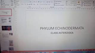 Phylum EchinodermataClass Asteroidea [upl. by Nonnelg]