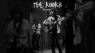 The Kooks  Seaside  Acoustic Version With Lyric [upl. by Danella990]