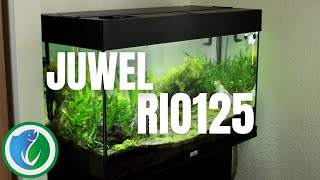 Juwel Rio 125  ein gutes Aquarium für Anfänger [upl. by Paulina]