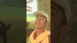 marte थे tumpe tumihipe marenge [upl. by Akibma]