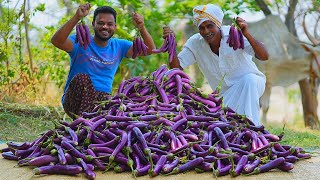 Fried Eggplant  Fried Brinjal Recipe  Crispy Eggplant  Grandpa Kitchen [upl. by Lleznov167]