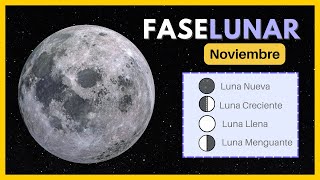 🌘 Fases de la luna noviembre 2024 ✨ Calendario Lunar noviembre 2024 🌙 Luna hoy calendariolunar [upl. by Sax]