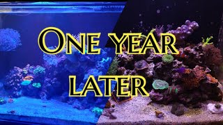 Waterbox Marine 452 one year update [upl. by Alaekim]