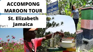 Accompong Maroon Village Tour St Elizabeth Jamaica Part 1 Chat Jamaican with Tania JAMAICA [upl. by Norga]