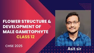 Structure of flower amp Development of male gametophyte  Class 12  CHSE 2025 [upl. by Goddart]