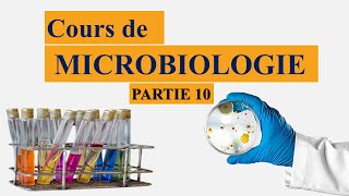 cours de microbiologie partie 10  la membrane cytoplasmique des bactéries  mésosomes [upl. by Teague]