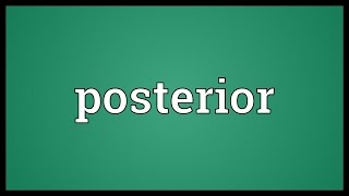 Posterior Meaning [upl. by Selena]