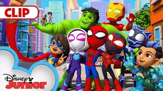 Spidey Characters amp Gadgets  Game  Marvels Spidey and his Amazing Friends  disneyjr [upl. by Einahpetse]