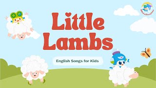 2024 呼呼儿童歌曲English Songs for Kids Little Lambs｜启蒙歌曲｜Nursery Rhymes｜By HuhuStorytime [upl. by Rosio]