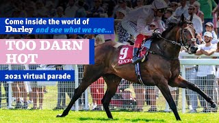 2021 Darley Australia Stallion Parade  Too Darn Hot [upl. by Cadell]