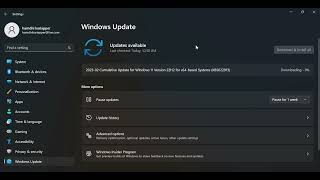 2023 02 Cumulative Update for Windows 11 Version 22H2 for x64 based Systems KB5022913 [upl. by Eugenia]