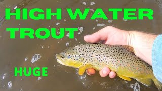 TROUT fishing HIGH WATER fly fishing vlog [upl. by Ariadne]