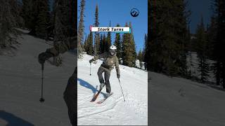 The Ultimate Ski Exercise A must for intermediate and advanced skiers [upl. by Eddra72]