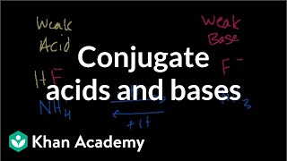 Conjugate acids and bases [upl. by Ilah]