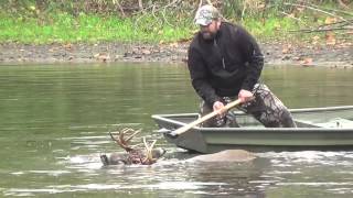 Veterinarian and his Son rescue a 10 Point Buck [upl. by Mok297]