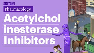 Acetylcholinesterase InhibitorsMyasthenia Gravis TreatmentPart 1  Sketchy Medical  USMLE Step 1 [upl. by Anwahsak]