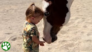 Twoyearold horse whisperer [upl. by Arman]